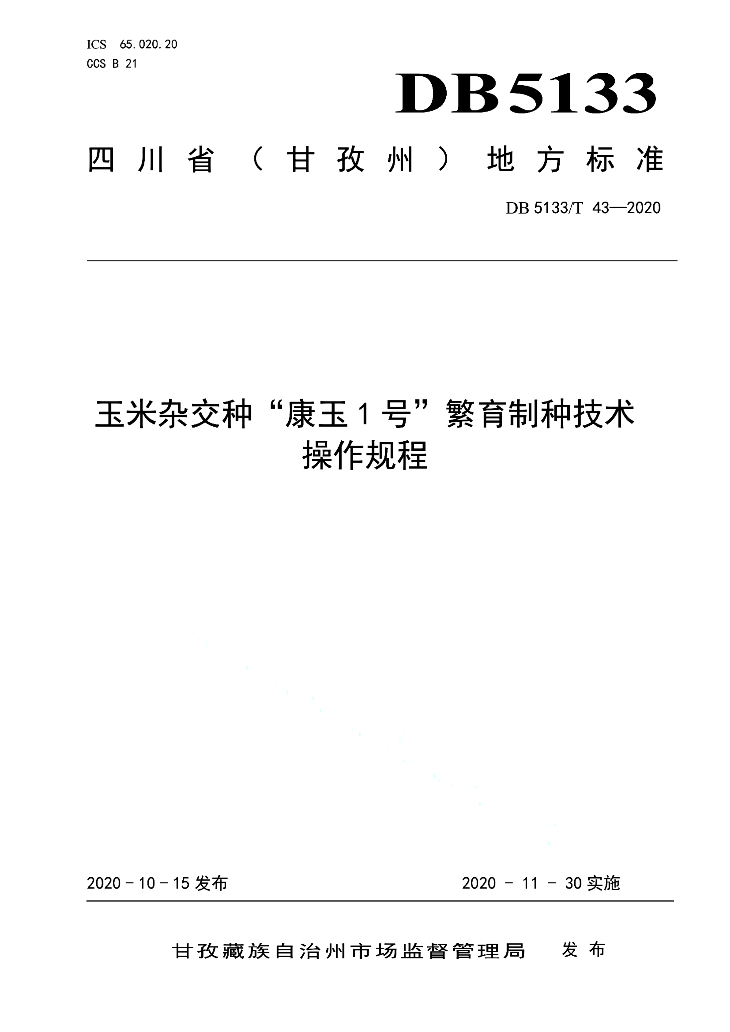 资源详情图
